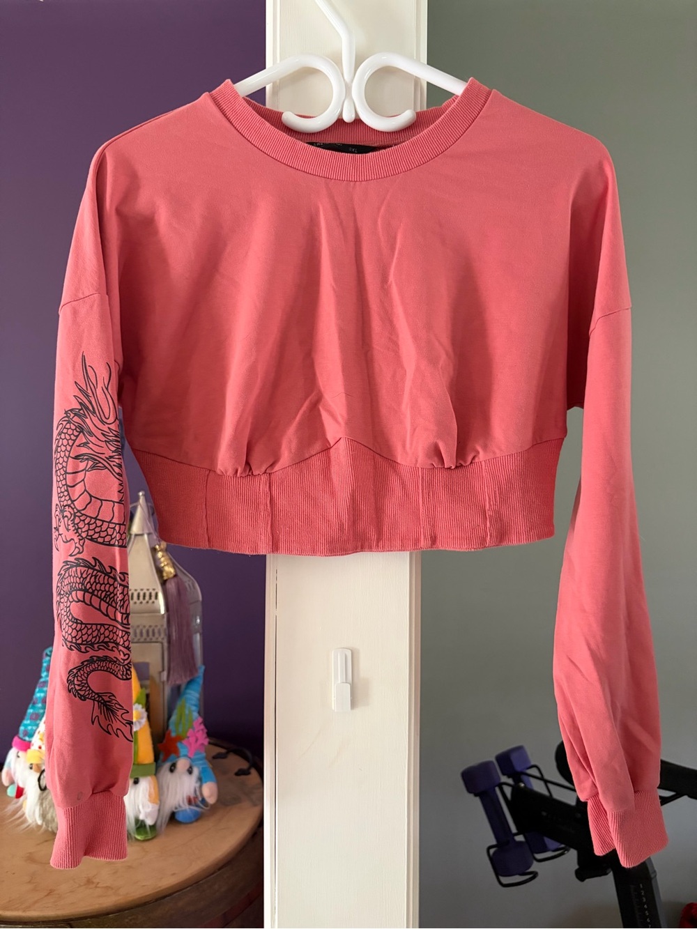 SHEIN Coral Pink Cropped Dragon Sleeve Long-Sleeve Top